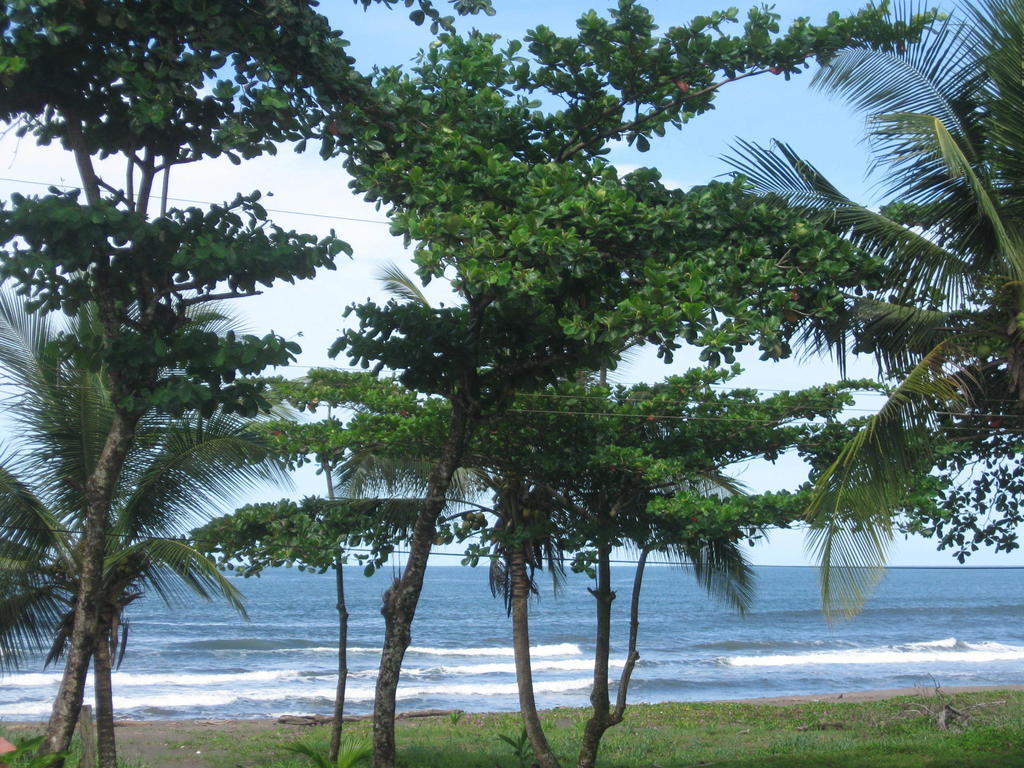 Cabinas Miss Miriam 2 Tortuguero Eksteriør bilde