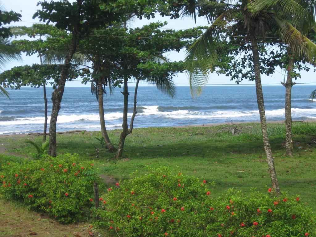 Cabinas Miss Miriam 2 Tortuguero Eksteriør bilde