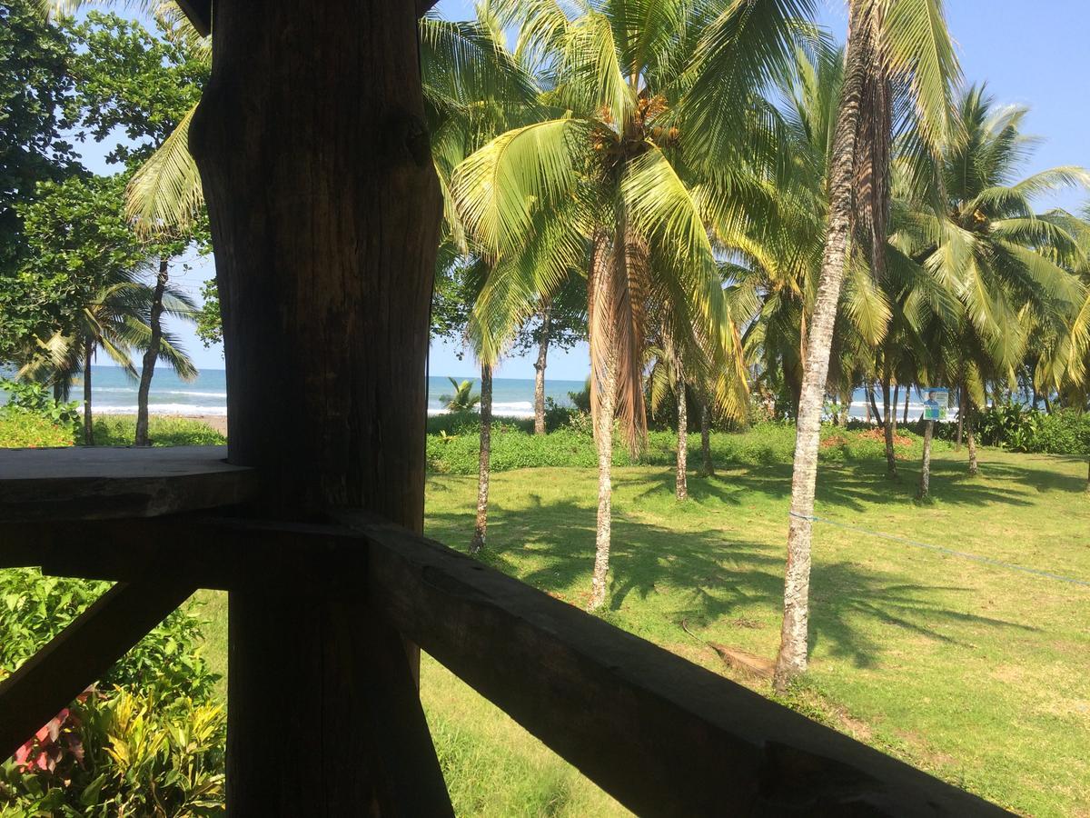 Cabinas Miss Miriam 2 Tortuguero Eksteriør bilde