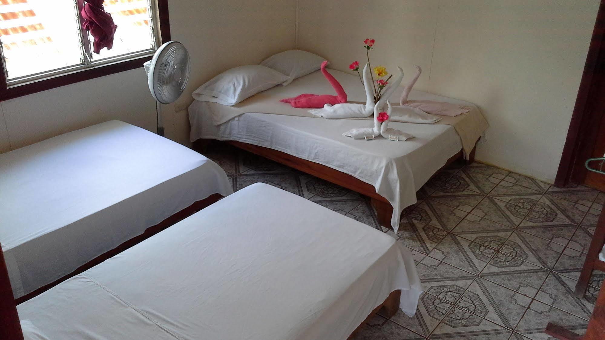 Cabinas Miss Miriam 2 Tortuguero Eksteriør bilde