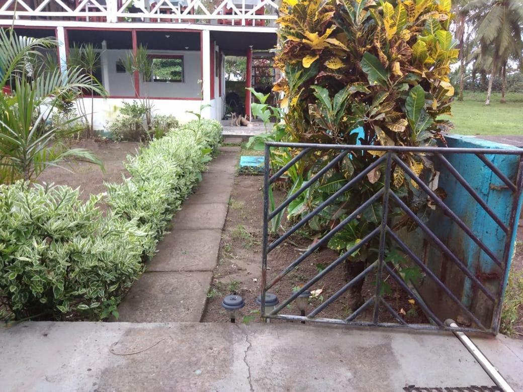 Cabinas Miss Miriam 2 Tortuguero Eksteriør bilde