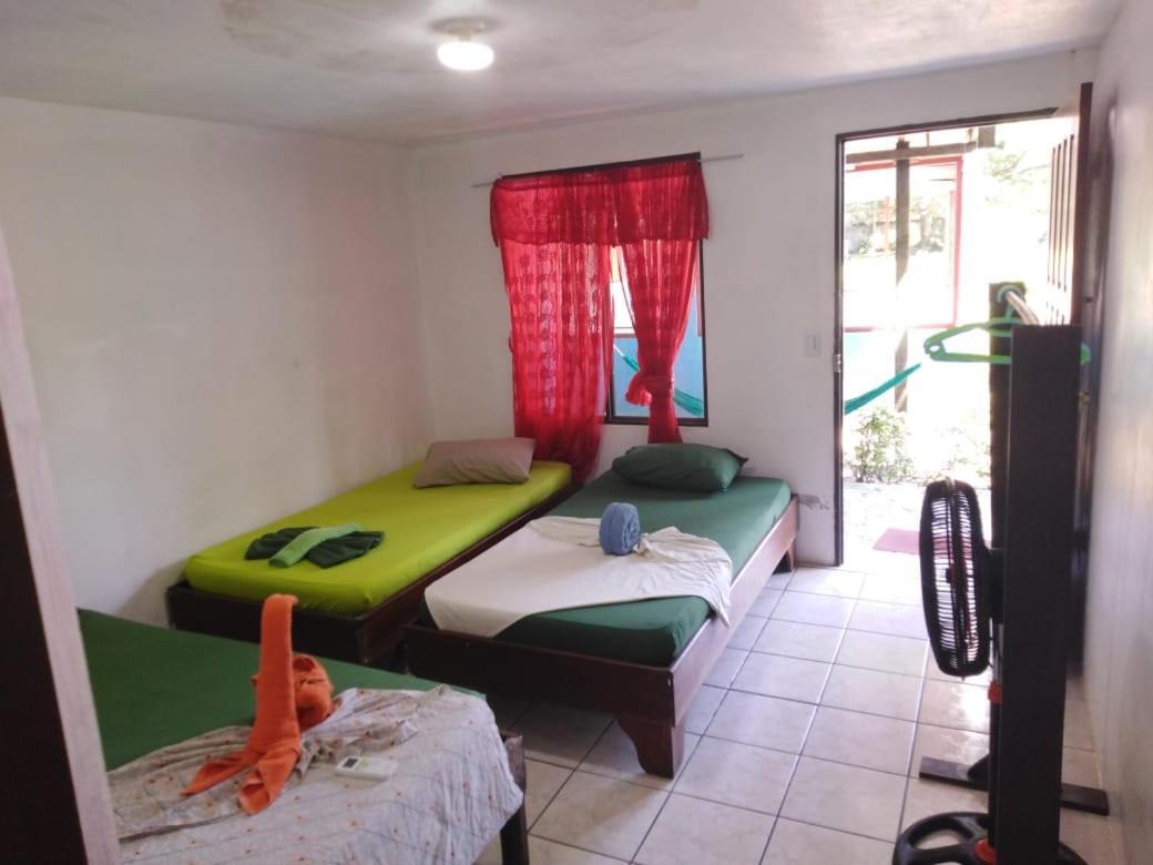 Cabinas Miss Miriam 2 Tortuguero Eksteriør bilde