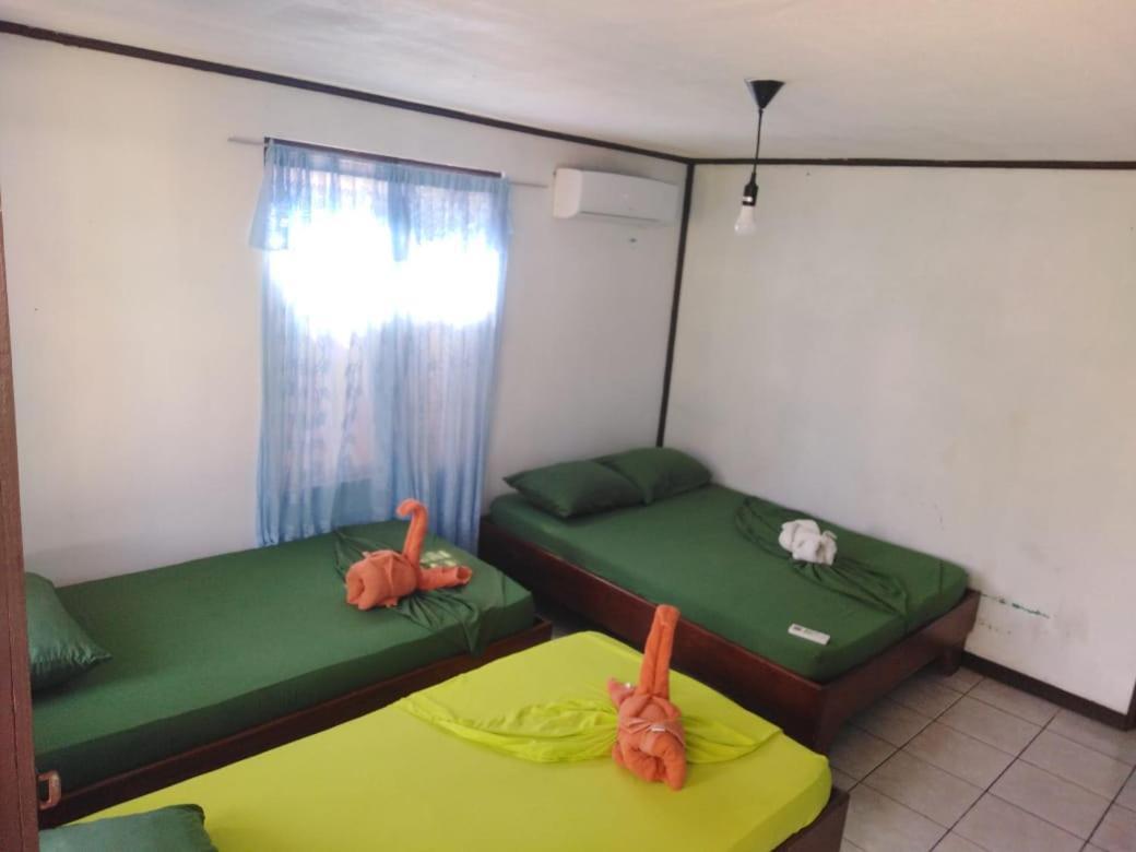 Cabinas Miss Miriam 2 Tortuguero Eksteriør bilde